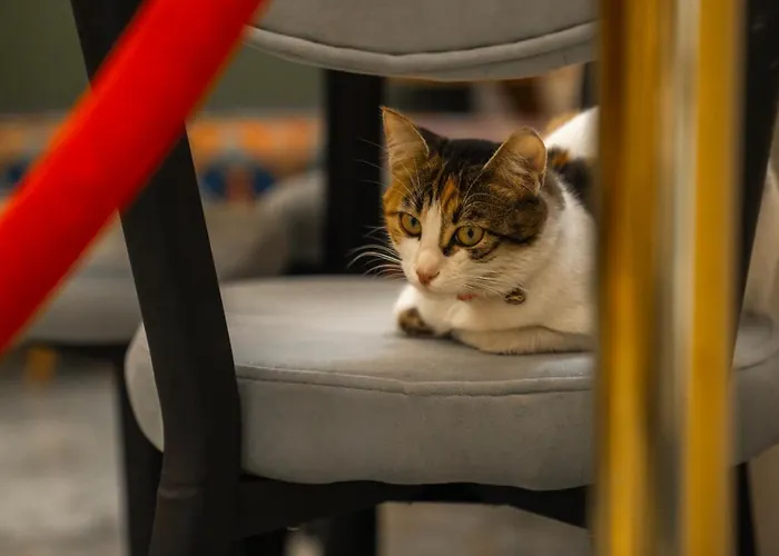 Grand Rafinn Boutique Отель